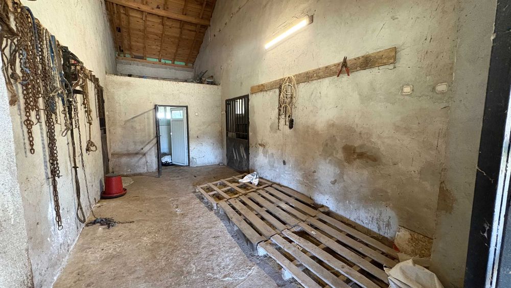 Продава се Парцел в с. Пробуда, Област Търговище - 38000 кв.м за 60 €/кв.м - Снимка #6