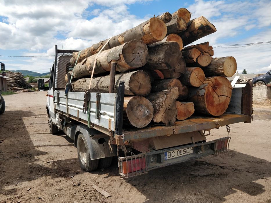 Lemn foc - bustean - USCAT sau VERDE