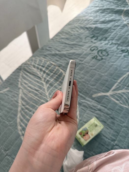 Iphone 13 pro max 256 gb