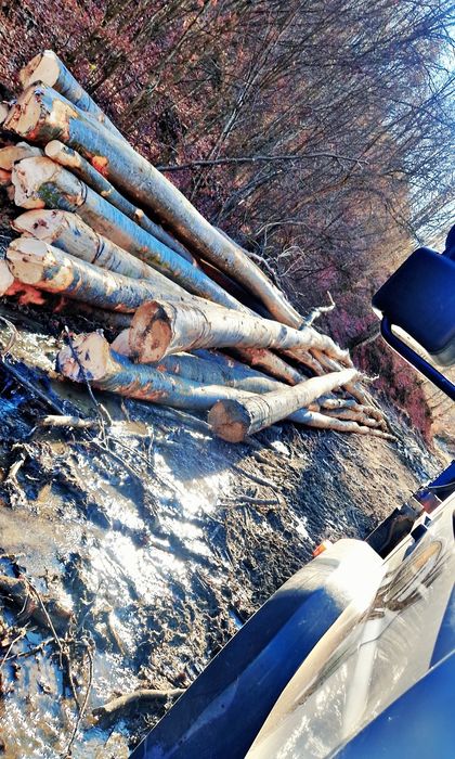 Lemn foc fag Transport