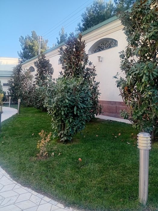 Мутахассис богбон хизмати