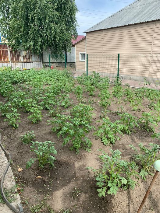 обмен дом на квартиру