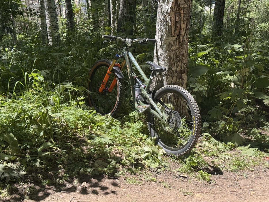 Polygon collosus n9