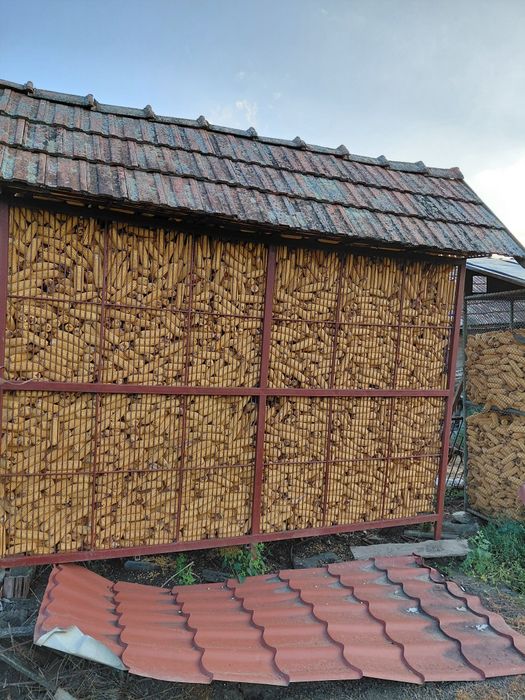 Vand porumb  în Sărmaș