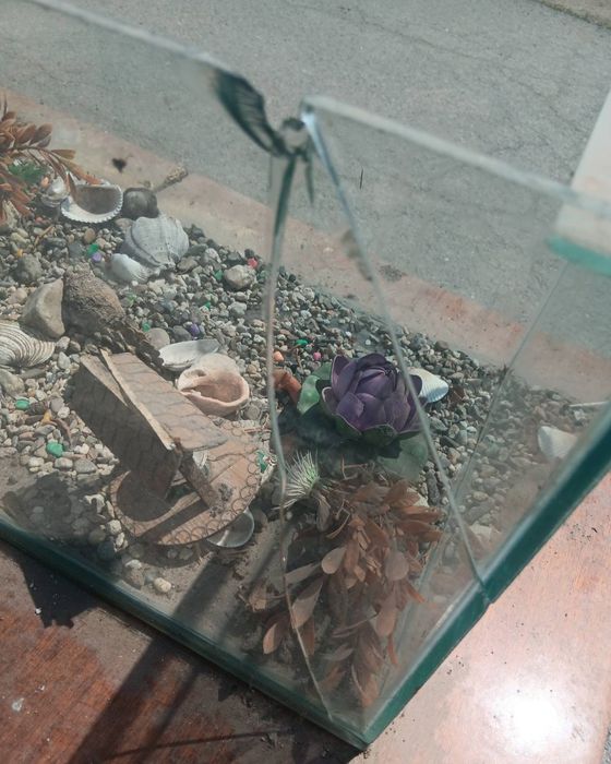 Продавам аквариум