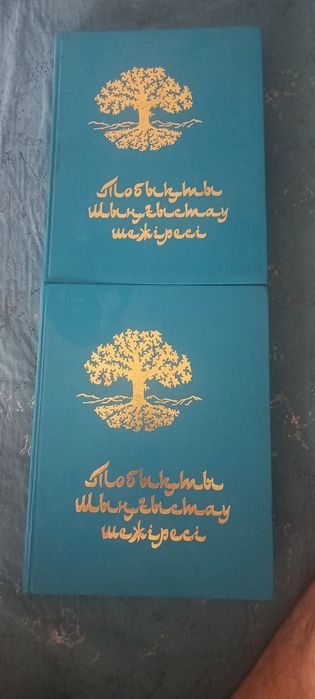 Книга Тобыкты шынғыстау шежіресі