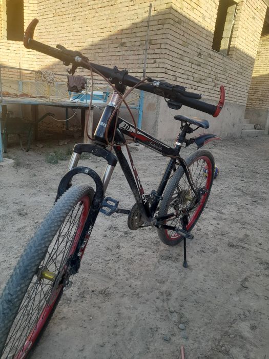 Белсовет спартибни