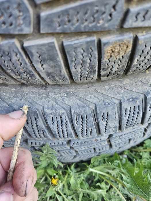 Продам два балона Виатти
