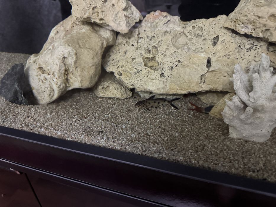 Продается Аквариум срочно