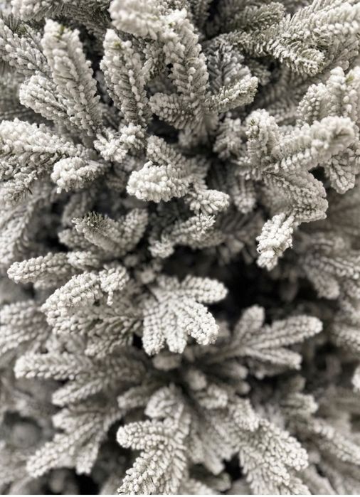 Роскошные Новогодние ёлки