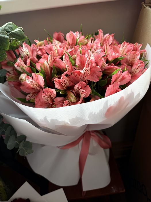 Продам цветы б/у