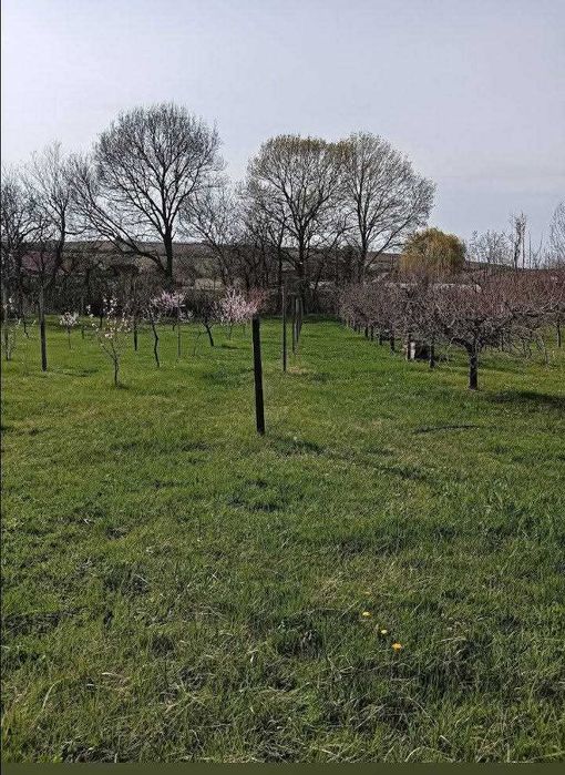 Casa de vânzare în Maderat judetul Arad cu livada