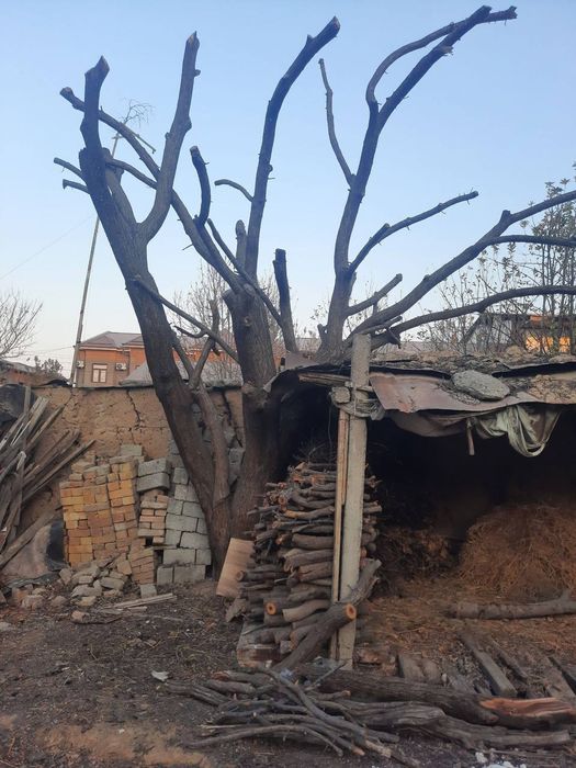 Otin sotilad sirochni