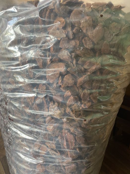 Кори за орхидеи