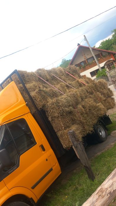 Baloți de lucernă mici%mari