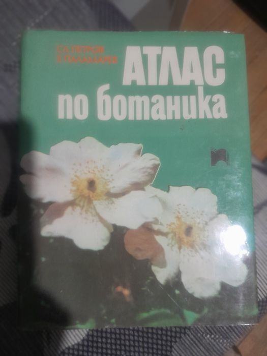 Университетска литература