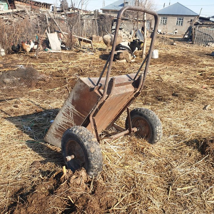 Тачка  арба  екі  дөңгелекті