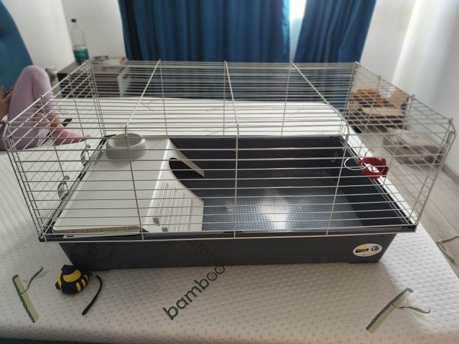 Cușcă animale companie