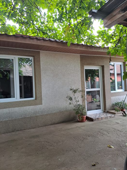 Casa de vis in Bailesti