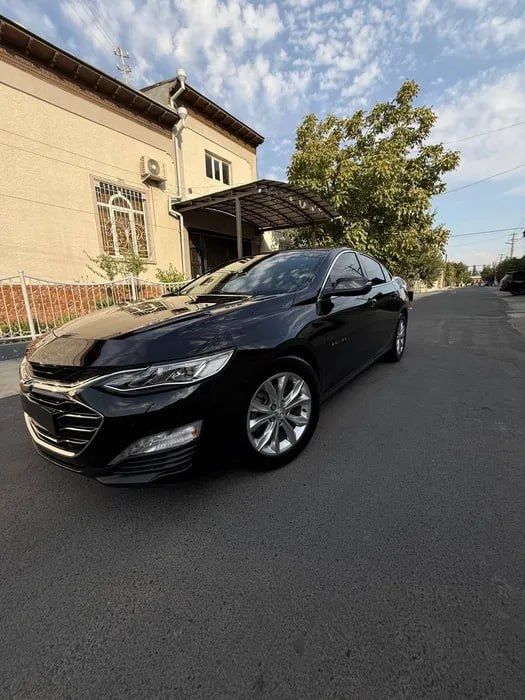 Malibu premier srochna