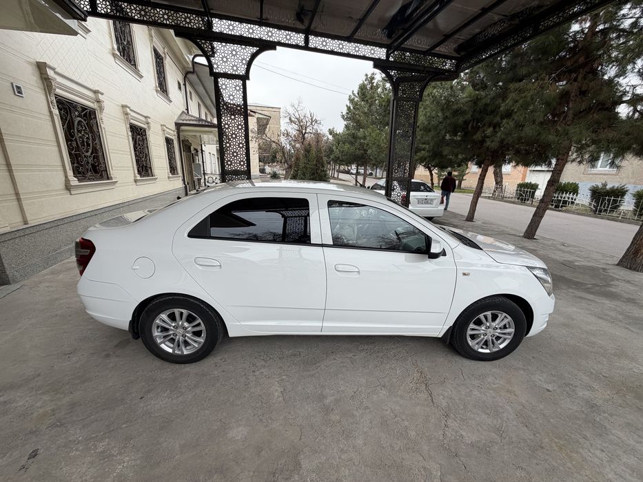 Kobalt 2023 4-Pazitsa