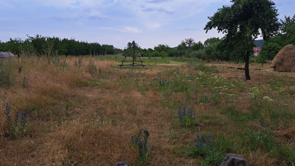 Teren zona de munte 130