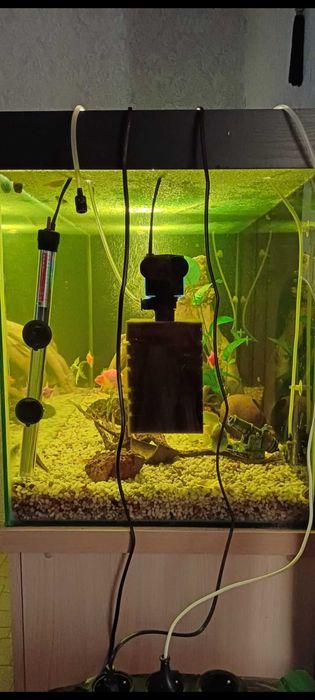 Аквариум для рыб