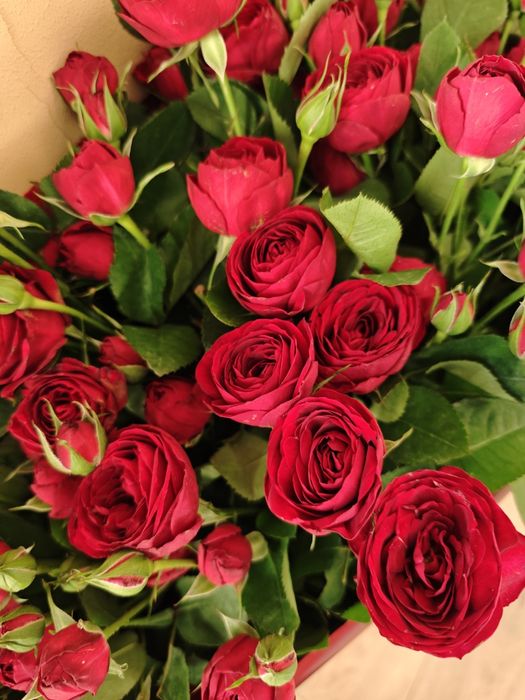 Продам дом в Еркине