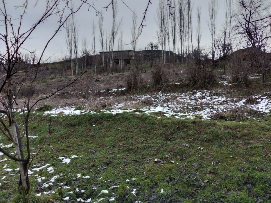 Daromadli Yer Meydoni