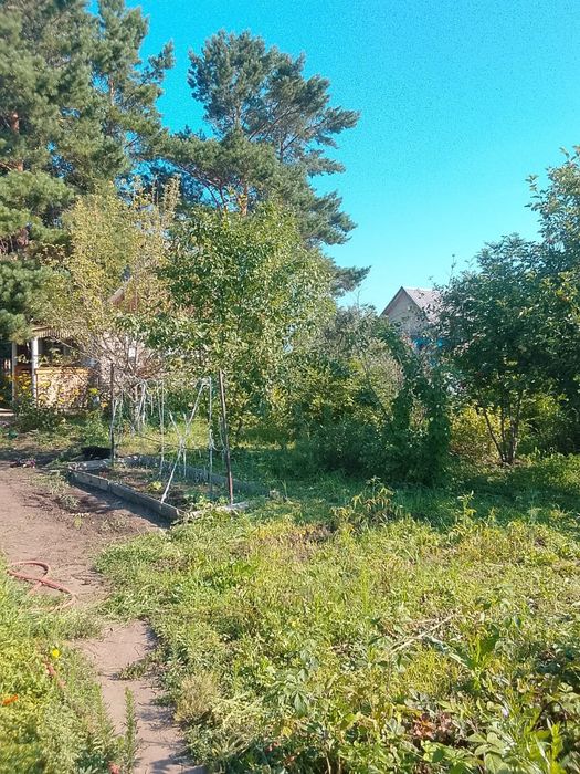 Продам дачу с участком