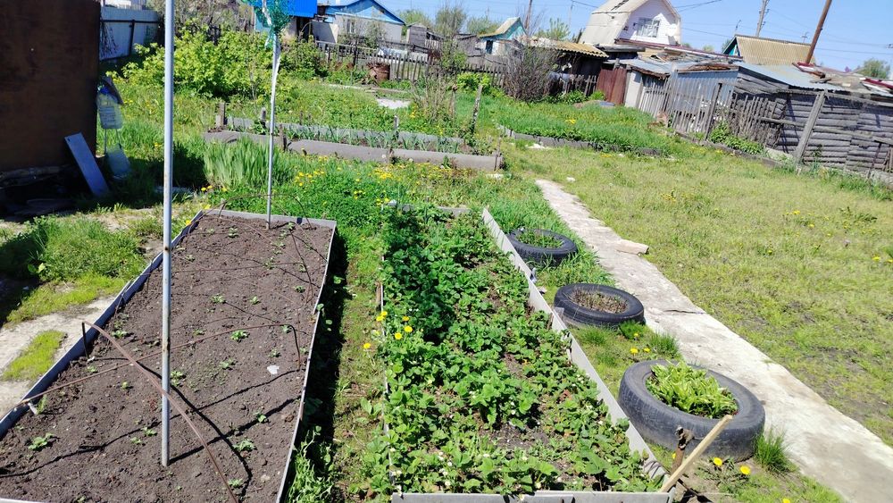 Срочно продам дачу!!!