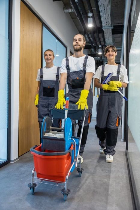 Curățenie profesionala apartamente/ case / birouri  s.a