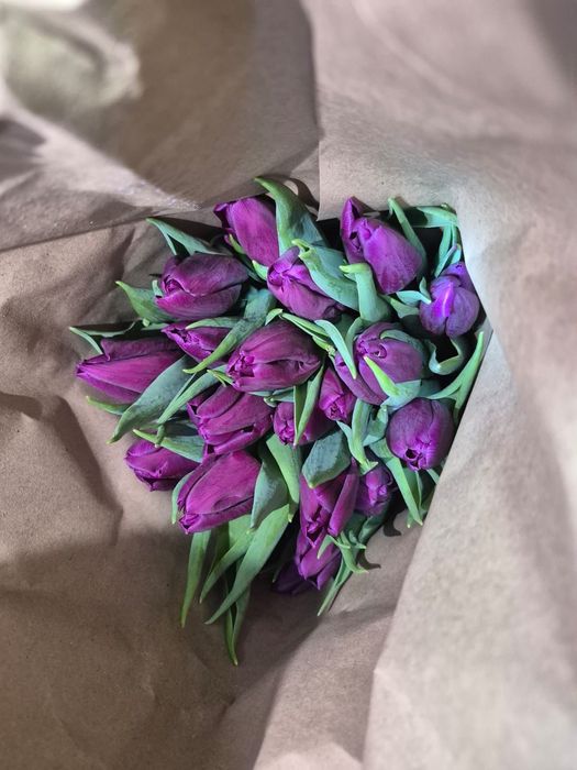 ТЮЛЬПАНЫ По оптовым ценам