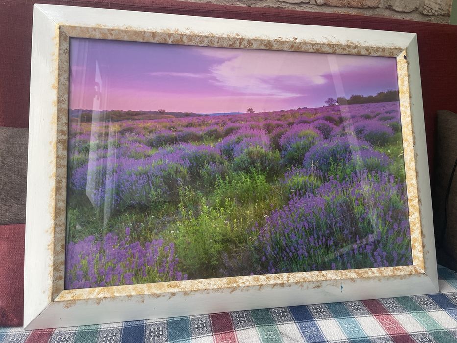 Большая картина . Лаванда.