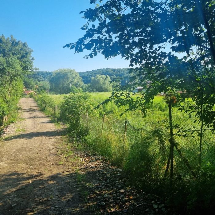 Teren extravilan, padure Zona Corunca Acățari