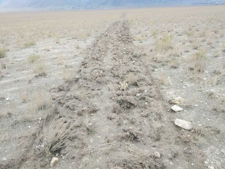 130 га чорвачилик ерига эга корхона сотилади (Навоий, Нурота)