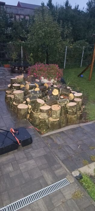 Lemne de foc esență tare