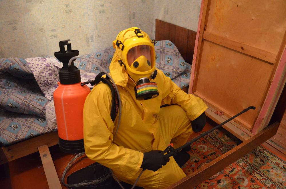 Работаю добросовестно на совесть Клопы тараканы  (-не лохотрон Сергей)