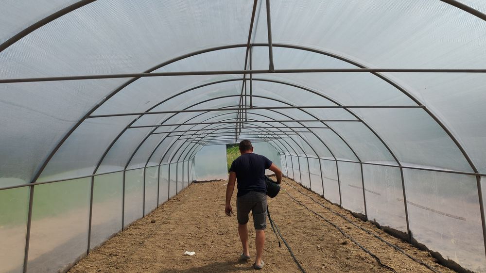 Sera solarii solar sere