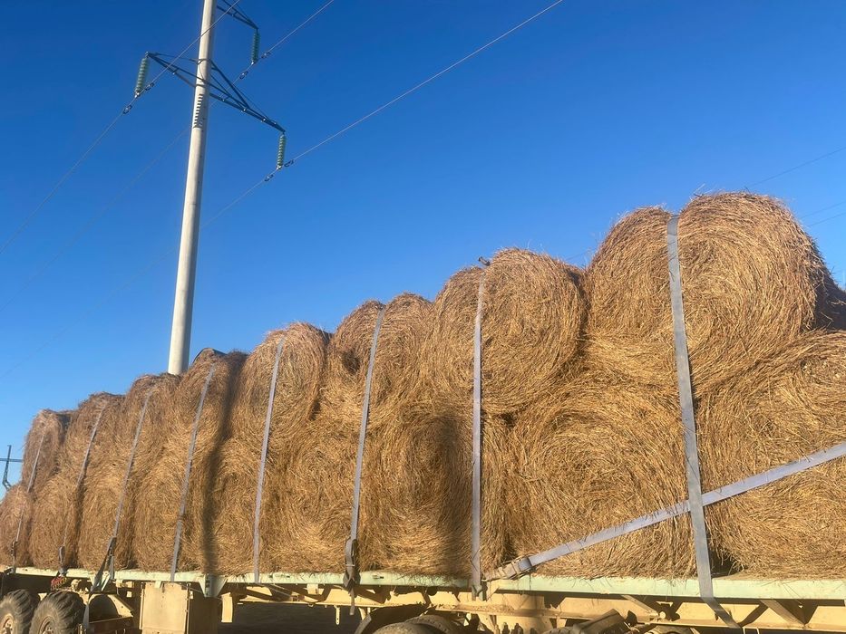 Тюк шөп   1500тг