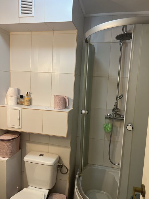 Garsoniera in chirie