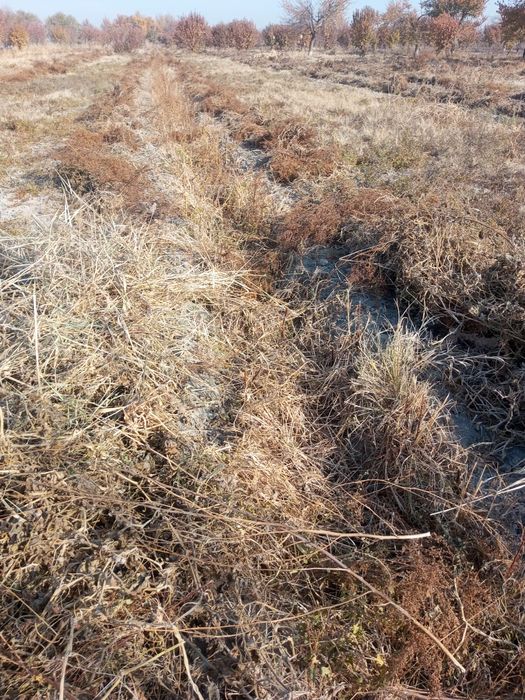 Мол ва куйлар учун Хашак пресс сотилади