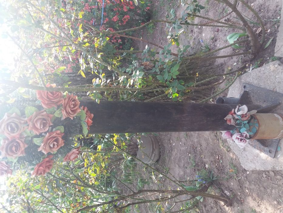 Cruce masiv fier 2.5 mm aprox