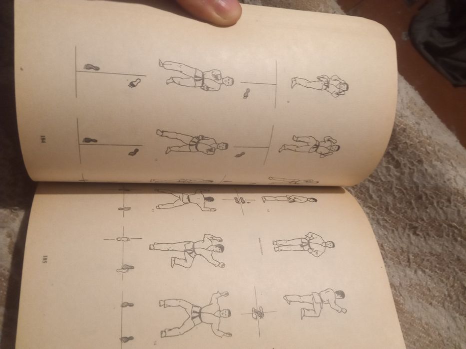 Основы таэквон-до