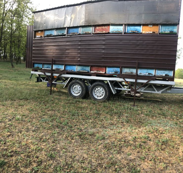 remorca pavilion apicola