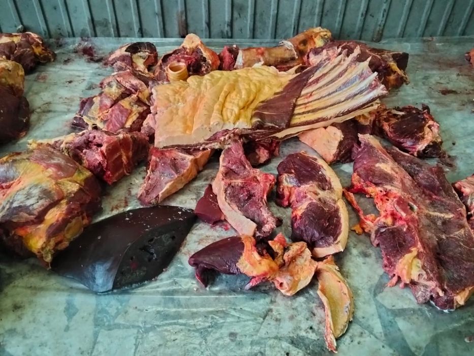 Мясо конины частями !