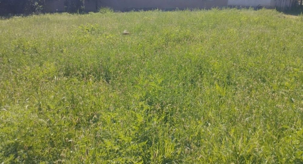 Срочно ер сотаман 0,8 соток Бектемир тумани