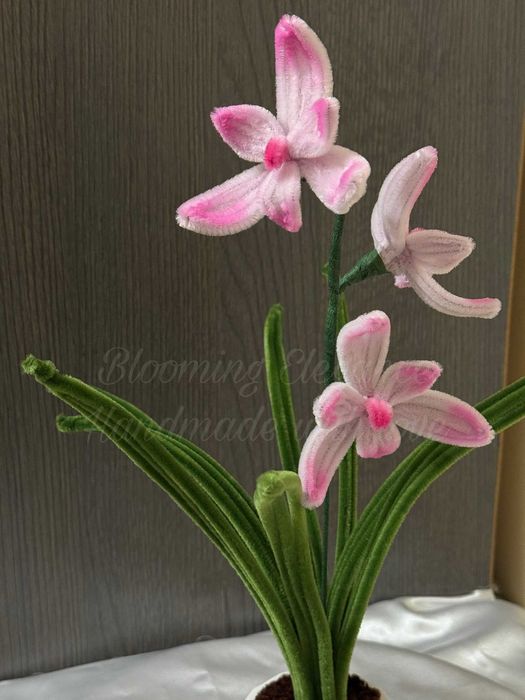 Вечна орхидея - символ на любов