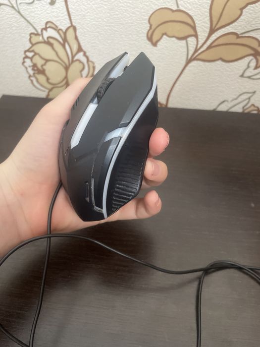 Кампитор на мишка