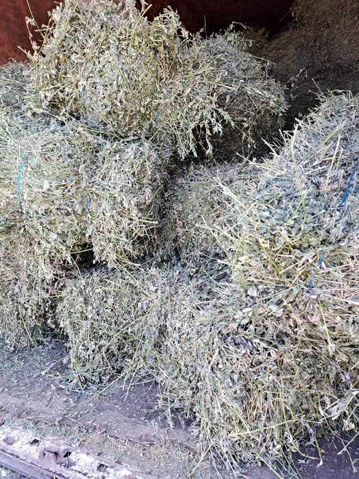 Baloti de lucernă  fan si paie dreptunghiulari